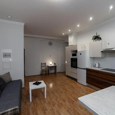 Spacious Apartment *